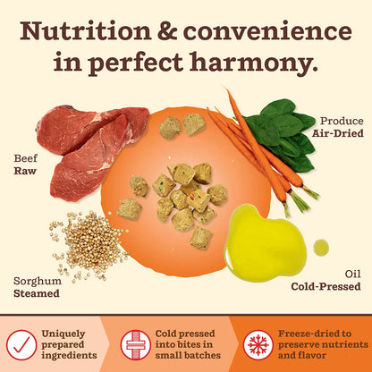 Kibble in the Raw Dog Food - Beef Recipe