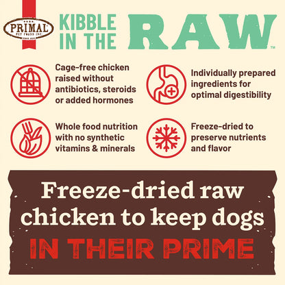 Kibble in the Raw Dog Food - Chicken Recipe