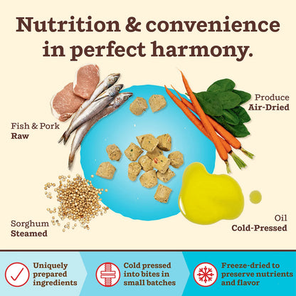 Kibble in the Raw Dog Food - Fish & Pork Recipe