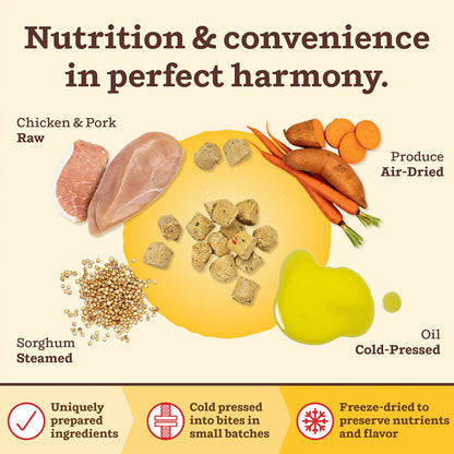 Kibble in the Raw Dog Food - Puppy Recipe