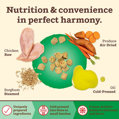 Kibble in the Raw Dog Food - Small Breed Chicken Recipe