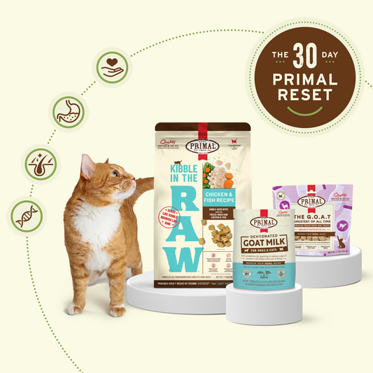 Cat Reset Bundle