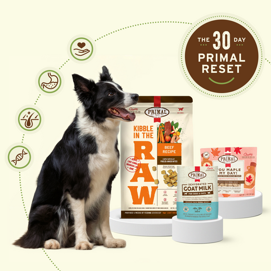 Dog Reset Bundle