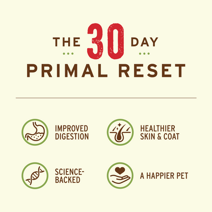 Cat Reset Bundle - Chicken