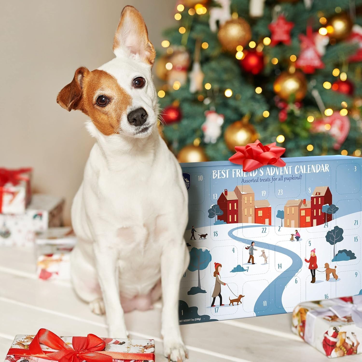 A dog standing beside the advent calendar